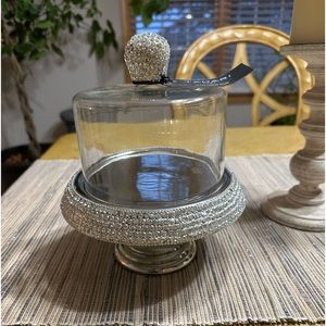 New Tahari crystal cheese dome